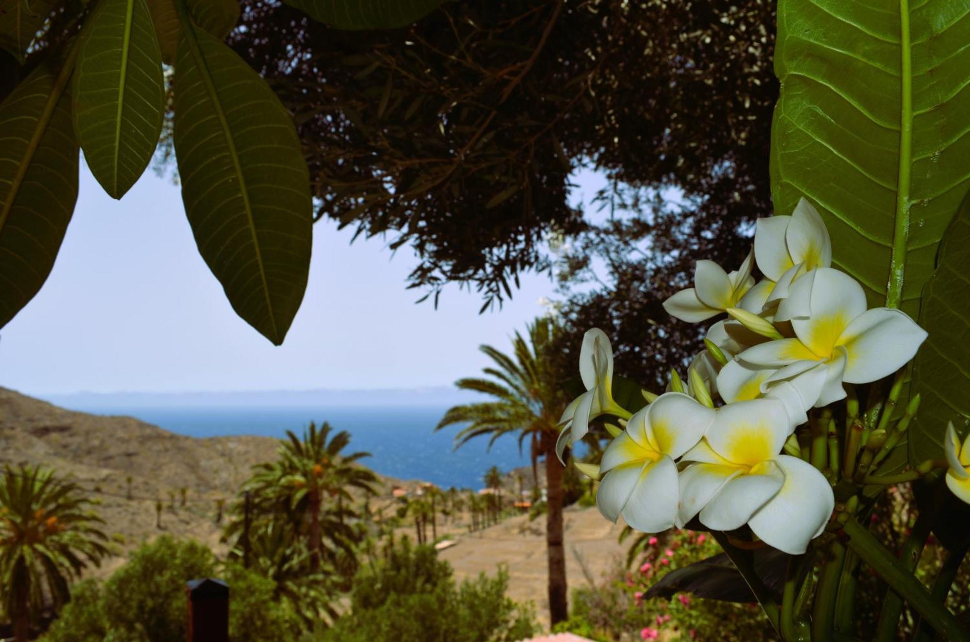 Cabana Los Palmeros, Vista Al Mar Y La Montana Alojera ภายนอก รูปภาพ